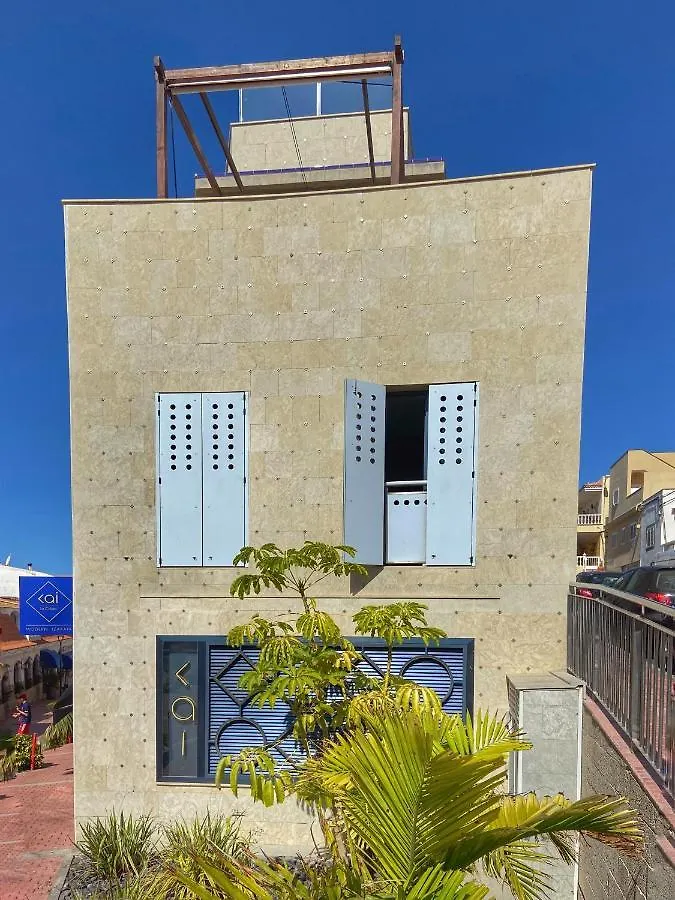 La Caleta Penthouse Costa Adeje Daire